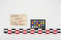 Etikett zu Schleifstein (NHMW-PRAE-025358)